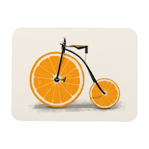 Magnet Flexible Vitamine   Florent Bodart