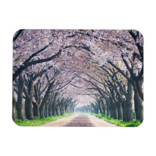 Magnet Flexible Voie Cherry Blossom