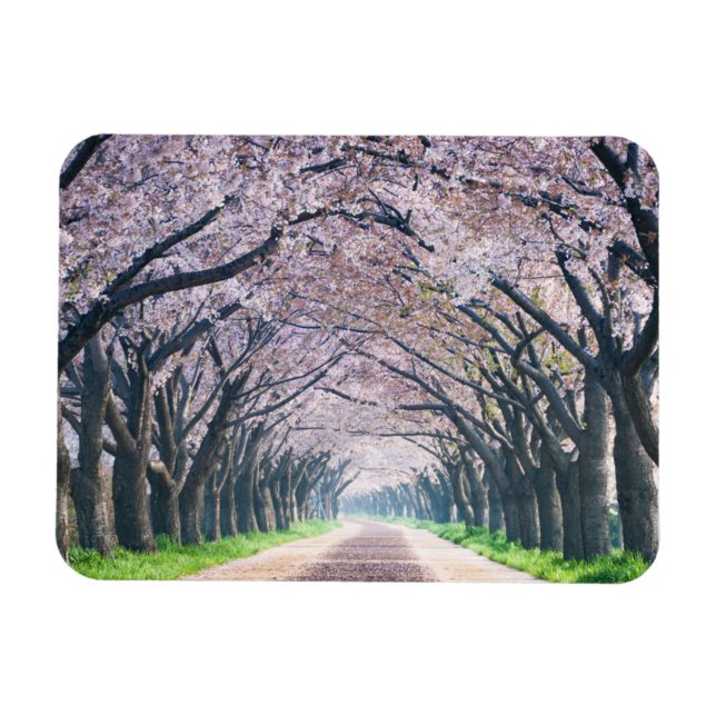 Magnet Flexible Voie Cherry Blossom (Horizontal)