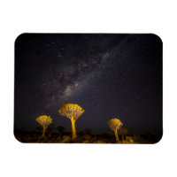 Voie lactée Quiver Tree | Keetmanshoop Namibie