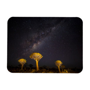 Magnet Flexible Voie lactée Quiver Tree Keetmanshoop Namibie