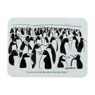 Magnet Flexible Vol d'identité