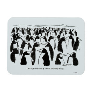 Magnet Flexible Vol d'identité