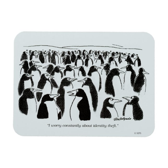 Magnet Flexible Vol d'identité (Horizontal)