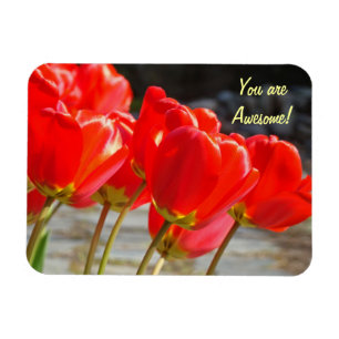 Magnet Flexible Vous êtes Incroyable ! aimant Fleurs de Tulipe Rou