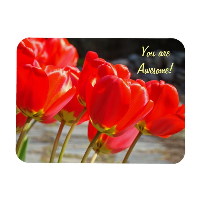 Magnet Flexible Vous êtes Incroyable ! aimant Fleurs de Tulipe Rou (Horizontal)