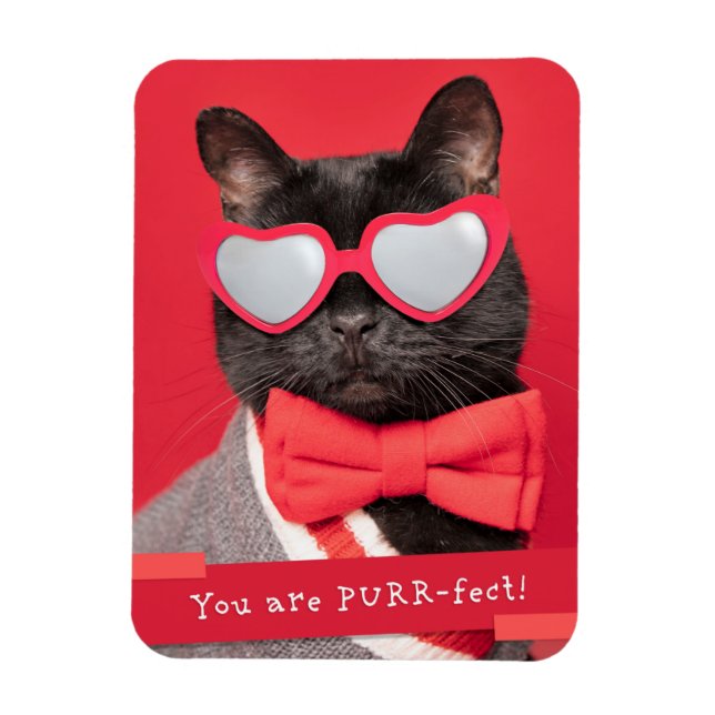 Magnet Flexible Vous êtes PURR-fect Cute Cat (Vertical)
