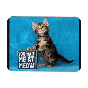 Magnet Flexible Vous m'aviez chez Meow Bengal Kitten