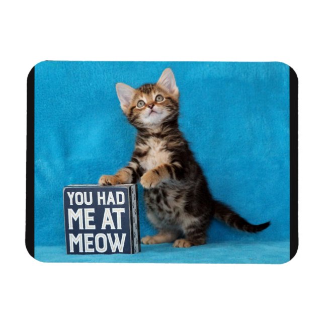 Magnet Flexible Vous m'aviez chez Meow Bengal Kitten (Horizontal)