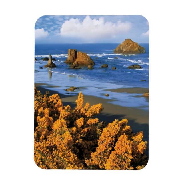 Magnet Flexible Vue de la plage de l'Oregon à Bandon (Vertical)