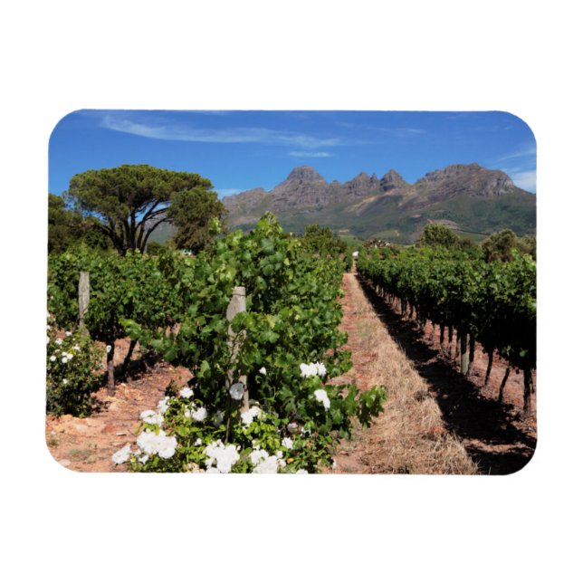 Magnet Flexible Vue des vignobles. Stellenbosch (Horizontal)