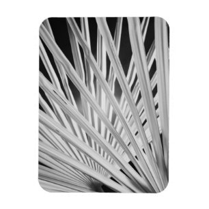 Magnet Flexible Vue en noir et blanc de frondes de palmiers