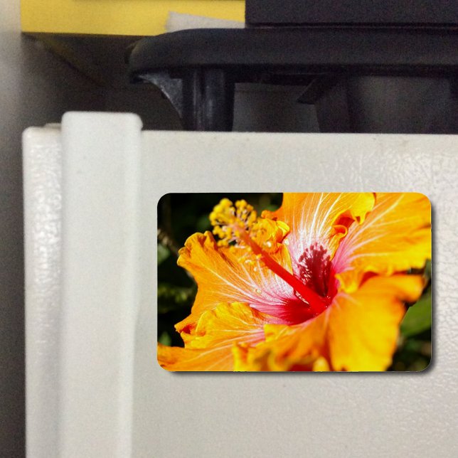 Magnet Flexible Vue latérale de l'Hibiscus orange (Orange Hibiscus Side View Flexible Magnet)