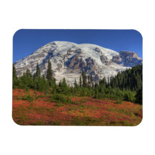 Magnet Flexible WA, Parc national du mont Rainier, Paradise Valley