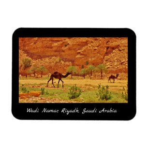 Magnet Flexible Wadi Namar, Riyad, Arabie saoudite