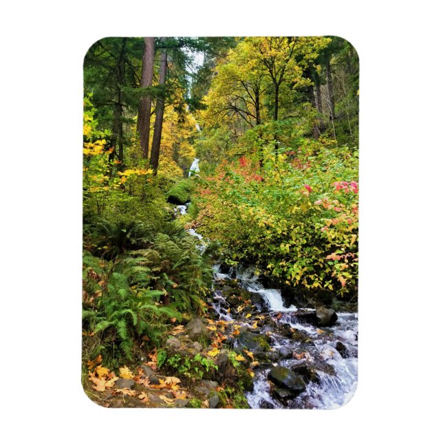 Magnet Flexible Wahkeena Falls, gorge de Columbia, Oregon (Vertical)