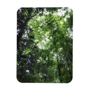 Magnet Flexible Walking in the Forest, Chester, Caroline du Sud Ca