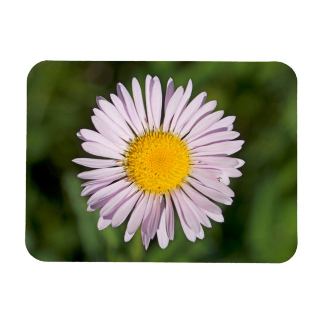 Magnet Flexible Washington, Cascade Range, Mont Baker (Horizontal)