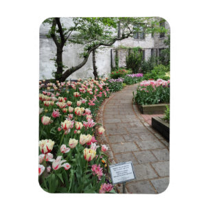 Magnet Flexible West Side Community Garden Tulip New York City NYC