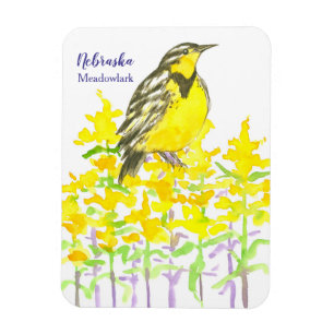 Magnet Flexible Western Meadowlark Goldenrod Fleur sauvage jaune