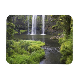 Magnet Flexible Whangarei Falls, Whangarei, Northland, New 2