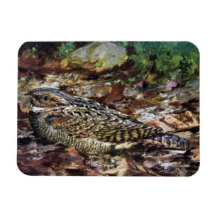 Magnet Flexible Whipporwill caché