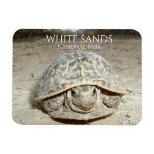 Magnet Flexible White Sands Desert Box Turtle