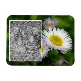 Magnet Flexible Wild Fleabane Daisy Cadre Fleur Ajouter Votre Phot