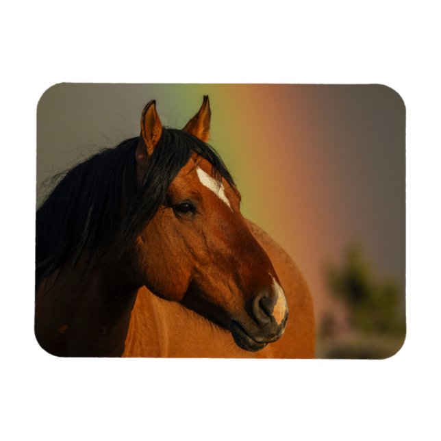 Magnet Flexible Wild Stallion, Golden Light and Rainbow (Horizontal)