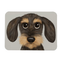 Wirehaired Dachshund | Cute Cartoon Dog Teckel