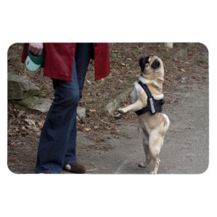 Magnet Flexible Womanizer