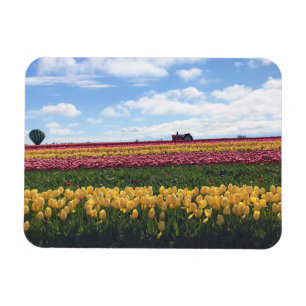Magnet Flexible Wooden Shoe Tulip Farm, Woodburn, Oregon