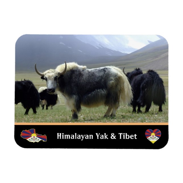 Magnet Flexible Yaks, Nomads of Himalayas - Tibet / Ladakh Yak (Horizontal)