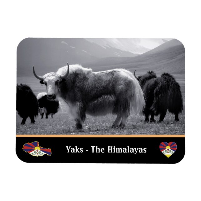 Magnet Flexible Yaks - The Himalayas & Tibet / Ladakh Trekking yak (Horizontal)