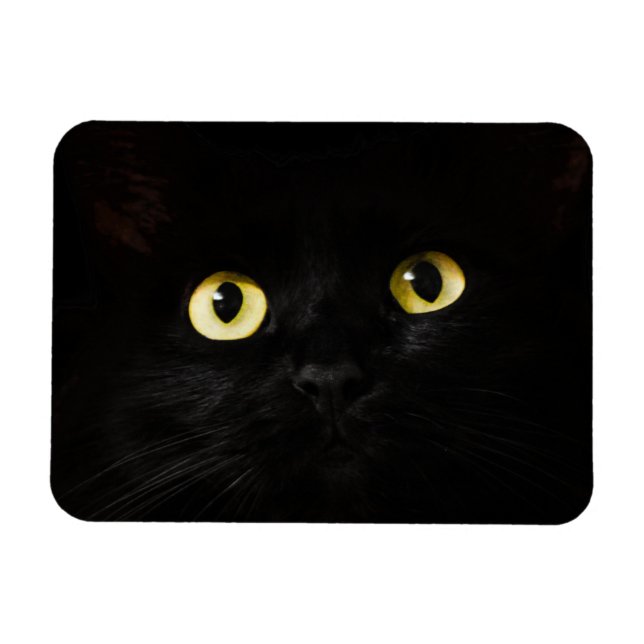 Magnet Flexible Yellow Cat Eyes, Chat noir, Arrière - plan noir (Horizontal)