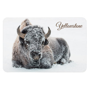 Magnet Flexible Yellowstone Magnet-Buffalo