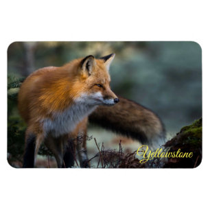 Magnet Flexible Yellowstone Magnet-Red Fox