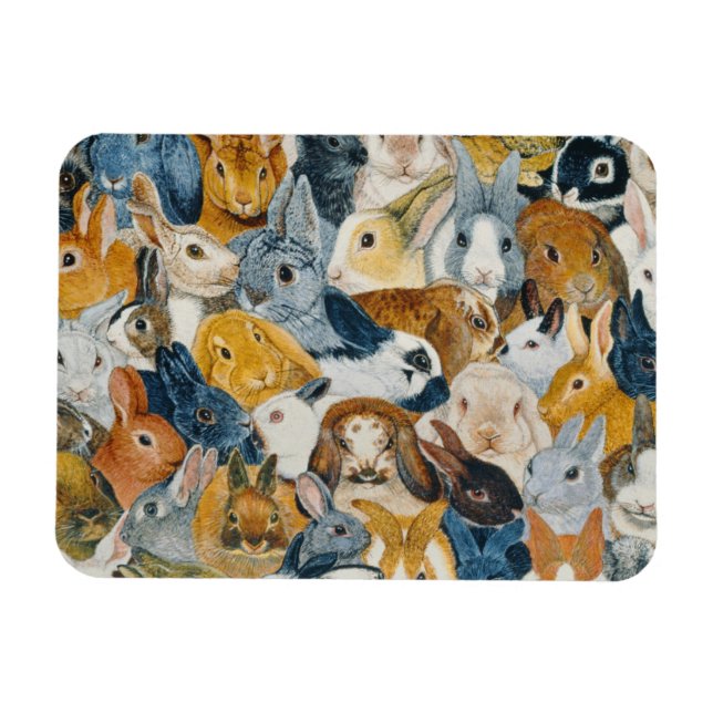 Magnet Flexible Yeux lumineux (Horizontal)