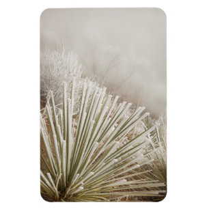 Magnet Flexible Yucca recouvert de givre en hiver