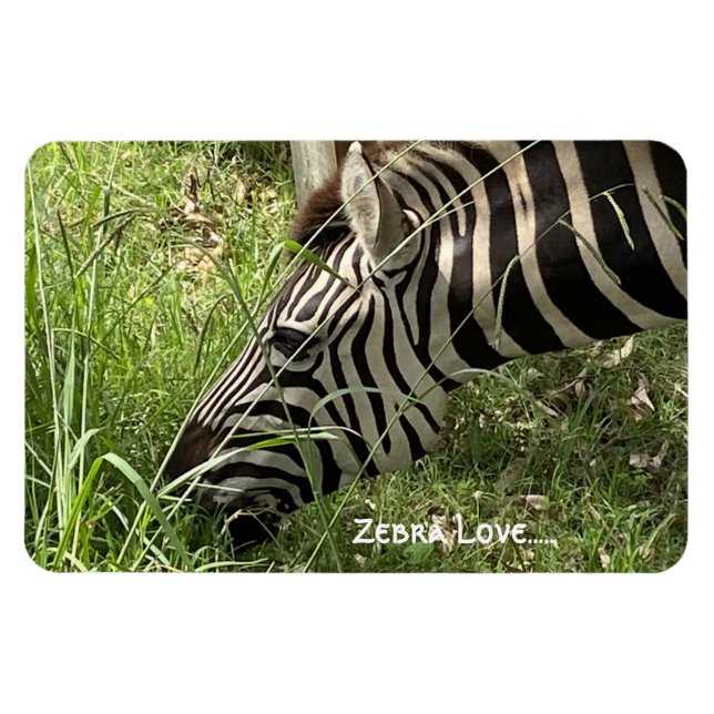 Magnet Flexible Zebra Love...Magnet (Horizontal)
