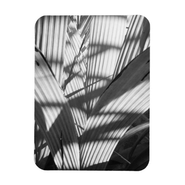 Magnet Flexible Zigzag (Vertical)