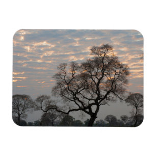 Magnet Flexible Zones humides du Pantanal   Amérique du Sud, Brési