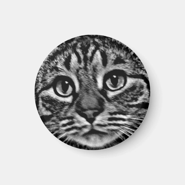 Magnet - Général Tso, noir et blanc (Devant)