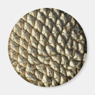 Magnet - Graines de tournesol