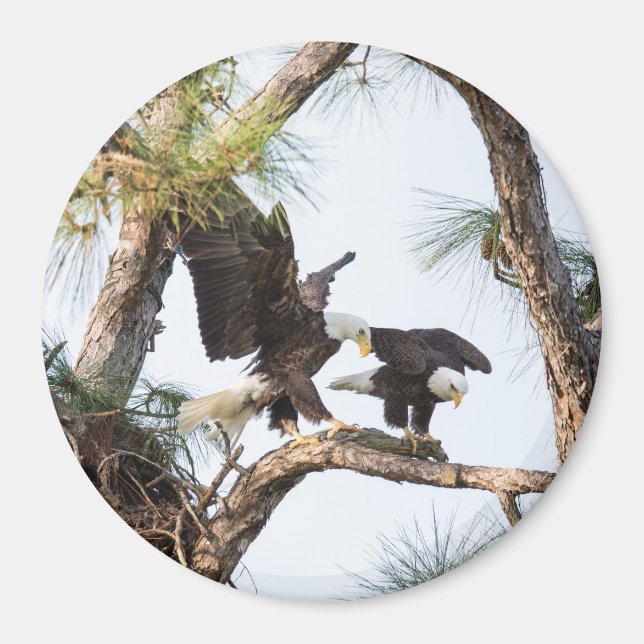 Magnet H & M (Devant)