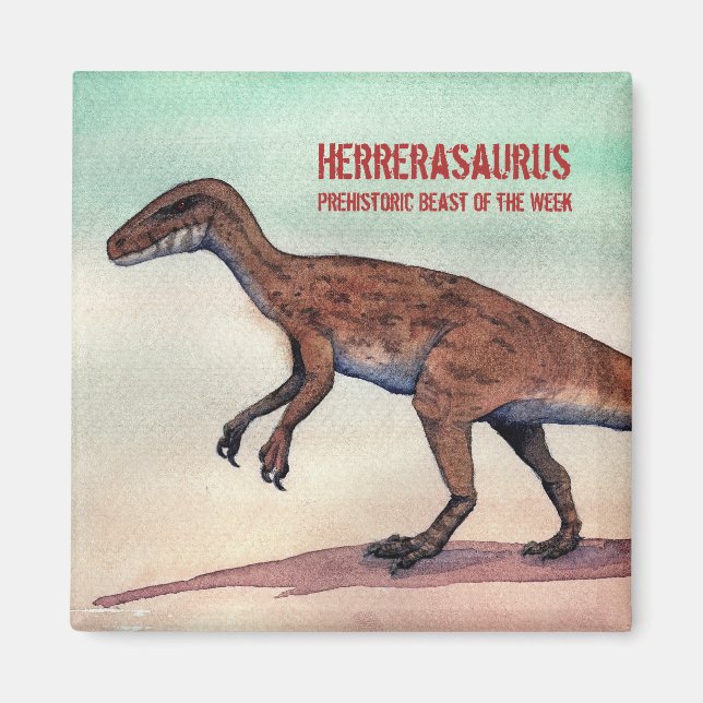 Magnet Herrerasaurus (Devant)