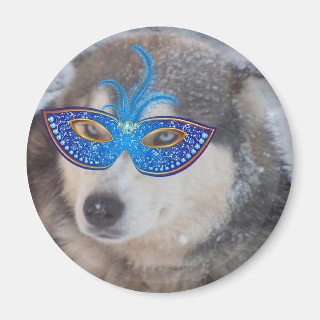 Magnet Husky Blue Eyes Mardi Gras Masque (Devant)