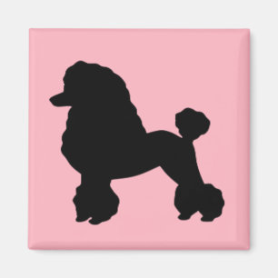 Magnet inspiré de la jupe de caniche rose des anné