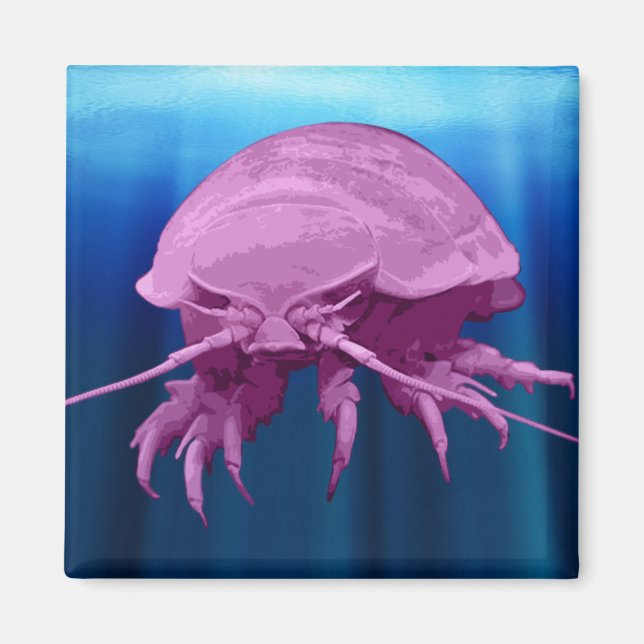 Magnet Isopod géant (Devant)