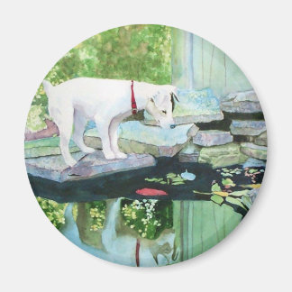 Magnet Jack Russell Terrier #1